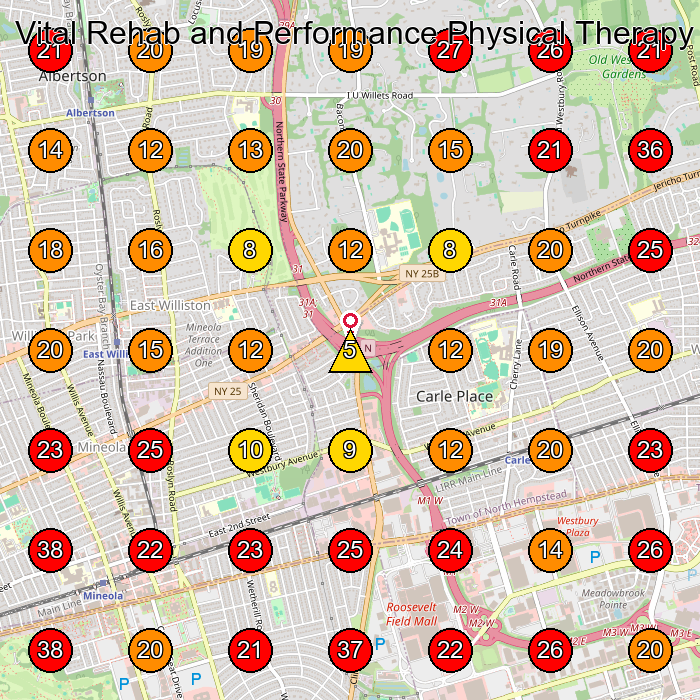 Vital Rehab and Performance Physical Therapy GeoGrid visibility map for Physical Therapy Clinic in Mineola